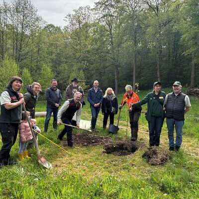 Tag des Baumes 2026 - Zum Artikel: Pflanzaktion zum Tag des Baumes im Tal Josaphat