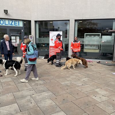 Bild mit ausf&uuml;hrlicher Beschreibung vergr&ouml;&szlig;ern: Fotos Ehrenamtsmesse