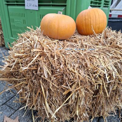 Tag der Landwirtschaft