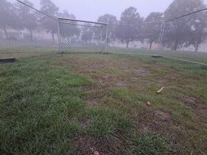 Bild mit ausf&uuml;hrlicher Beschreibung vergr&ouml;&szlig;ern: Zu sehen ist ein Fussballtor. Drum herum w&auml;chst Gras. An einigen stellen w&auml;chst das Gras ganz fein, da es neu ges&auml;t wurde. Um das Tor und das neue Gras befindet sich ein Bauzaun als Absperrung.